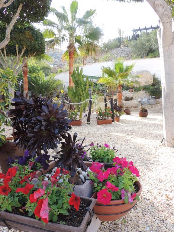 אגווה אמרגה Hotel Las Calas מראה חיצוני תמונה